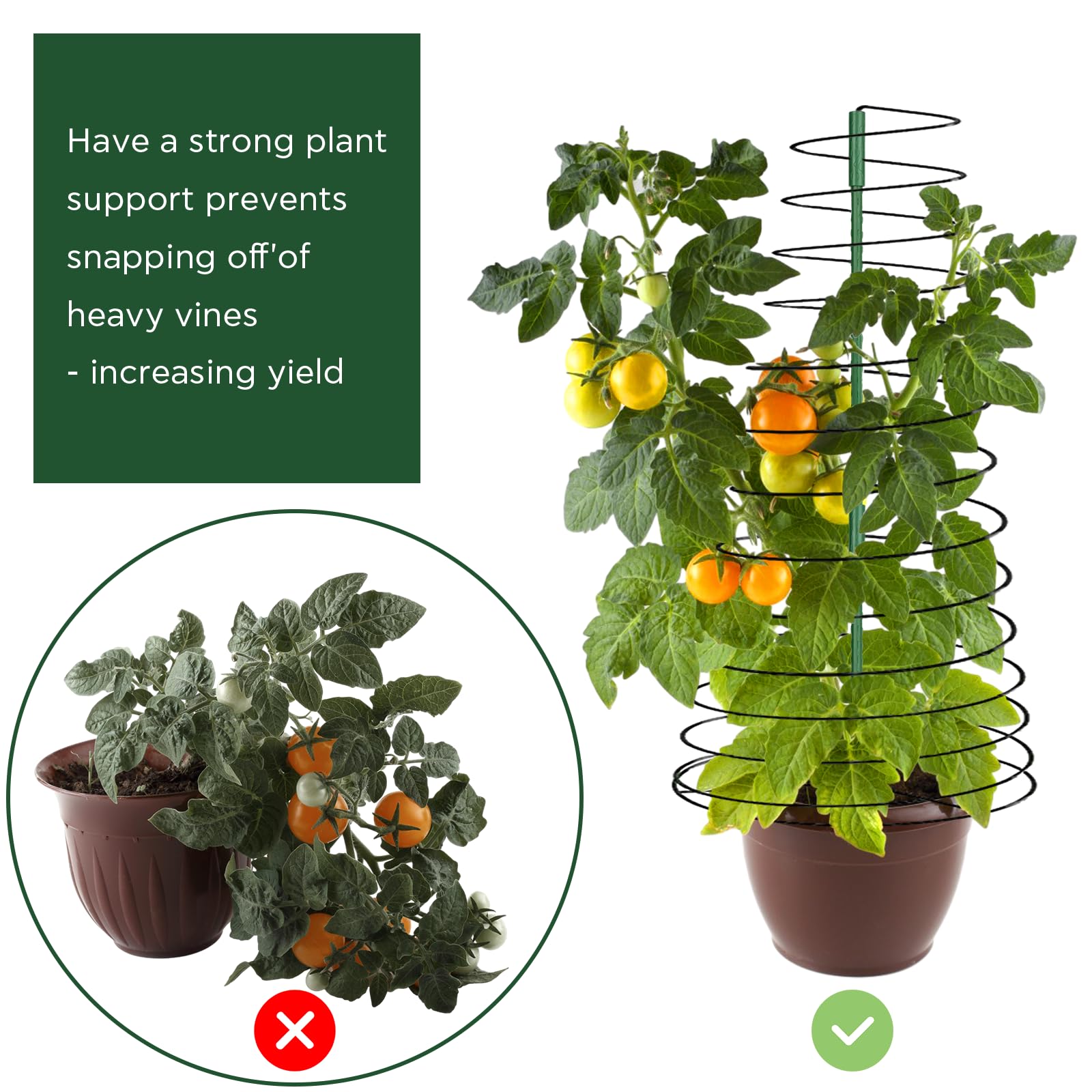 Amazon.co.jp: 植物サポートステークス 庭用トマトケージ 最大49